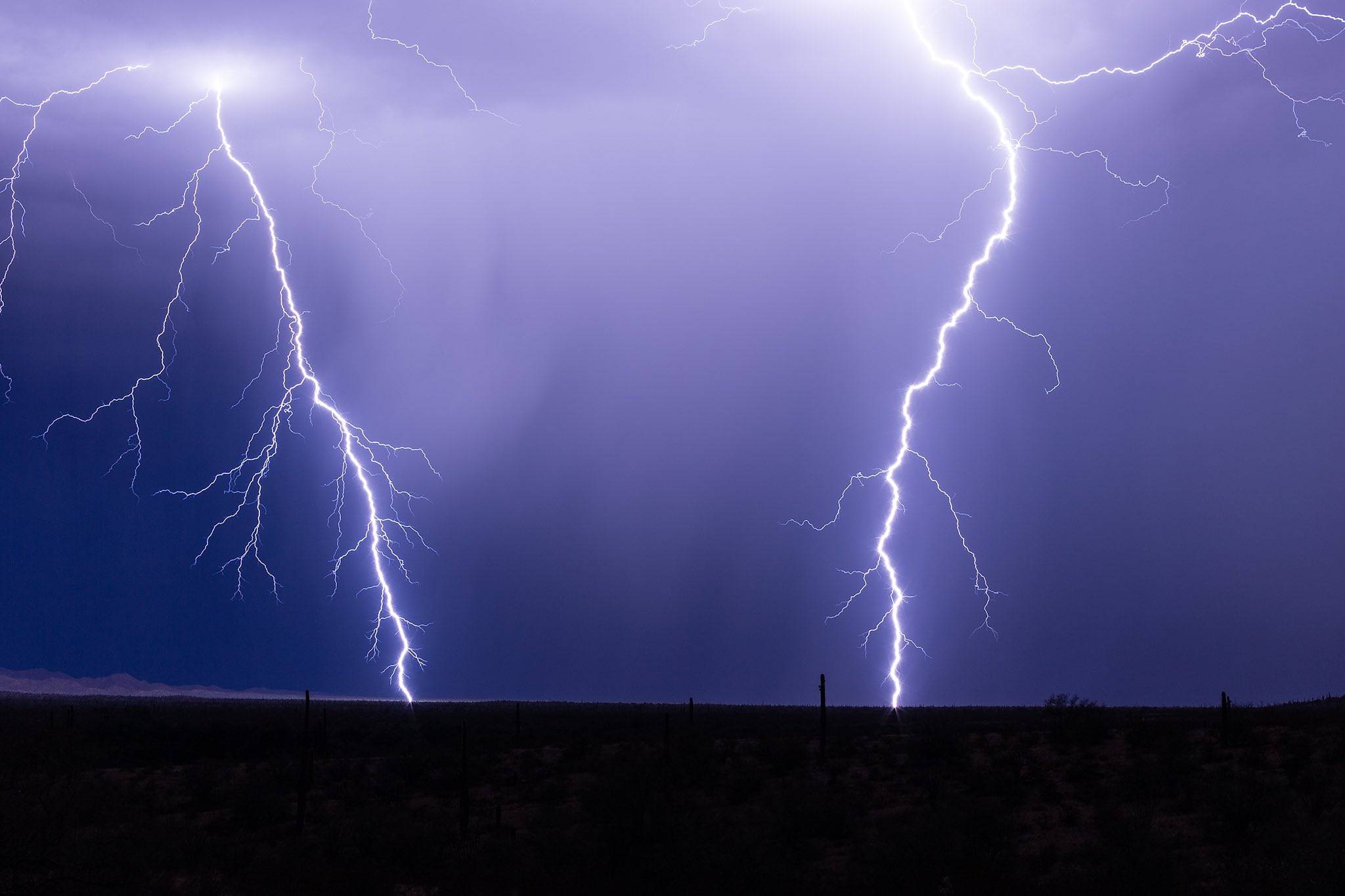 Close-range cactus cookers in the Arizona desert near Gila Bend by John Sirlin @SirlinJohn