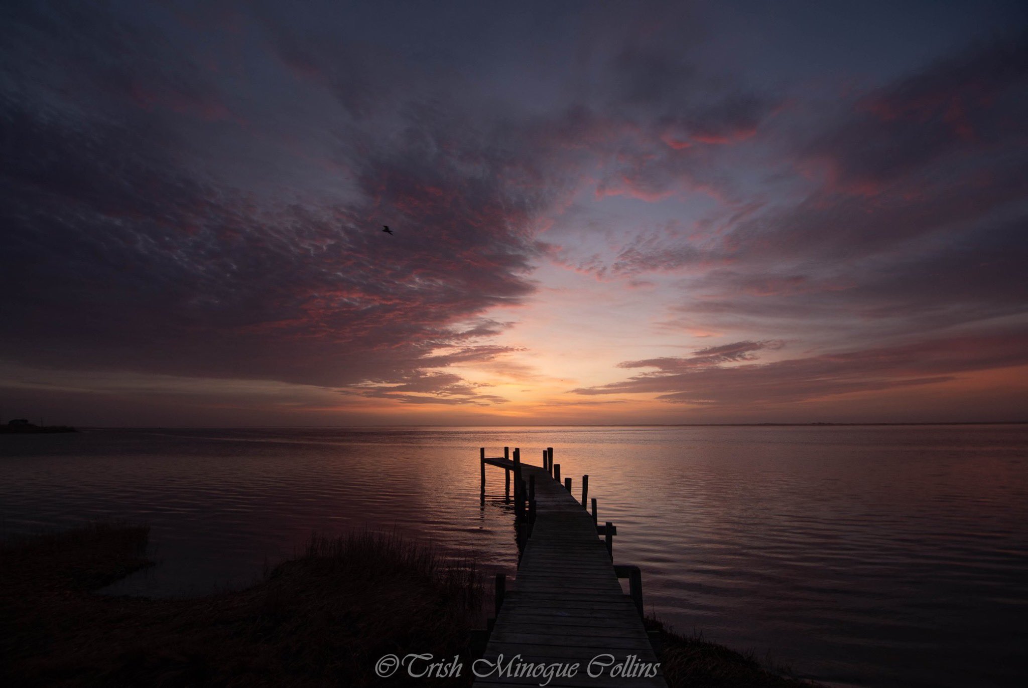 Daybreak in Mastic Beach, NY Trish MinogueCollins @TrishMinogPhoto