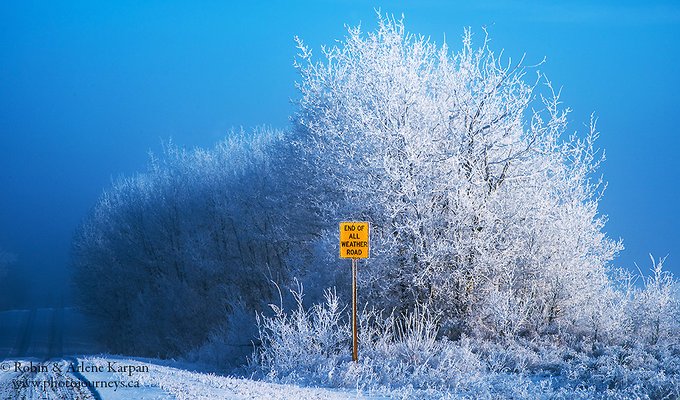 Frost and fog in the Thickwood Hills, Saskatchewan, Canada by Robin&Arlene Karpan @KarpanParkland