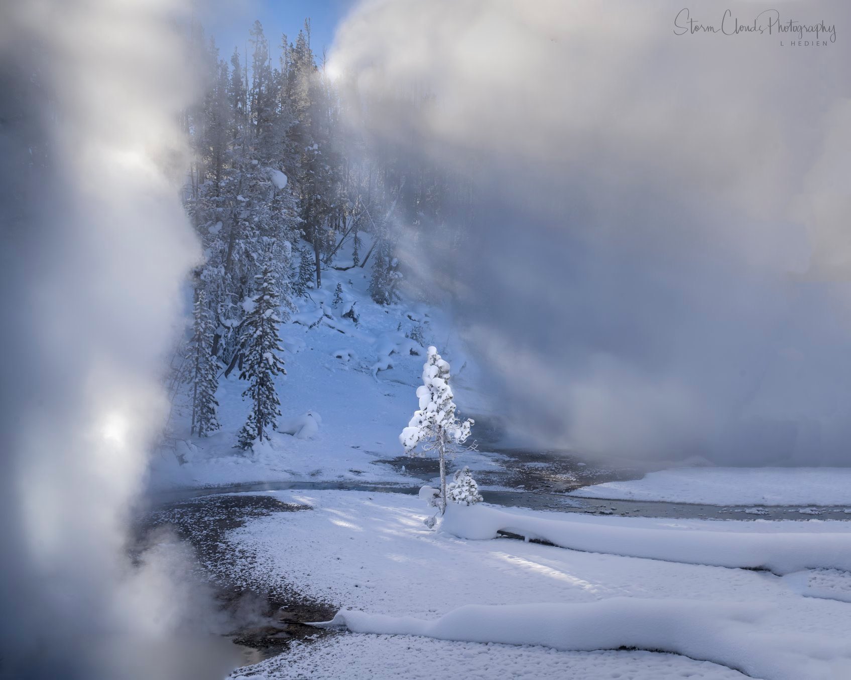 Frost covered tree illuminated by the sun and steam in Yellowstone by Laura Hedien @lhedien