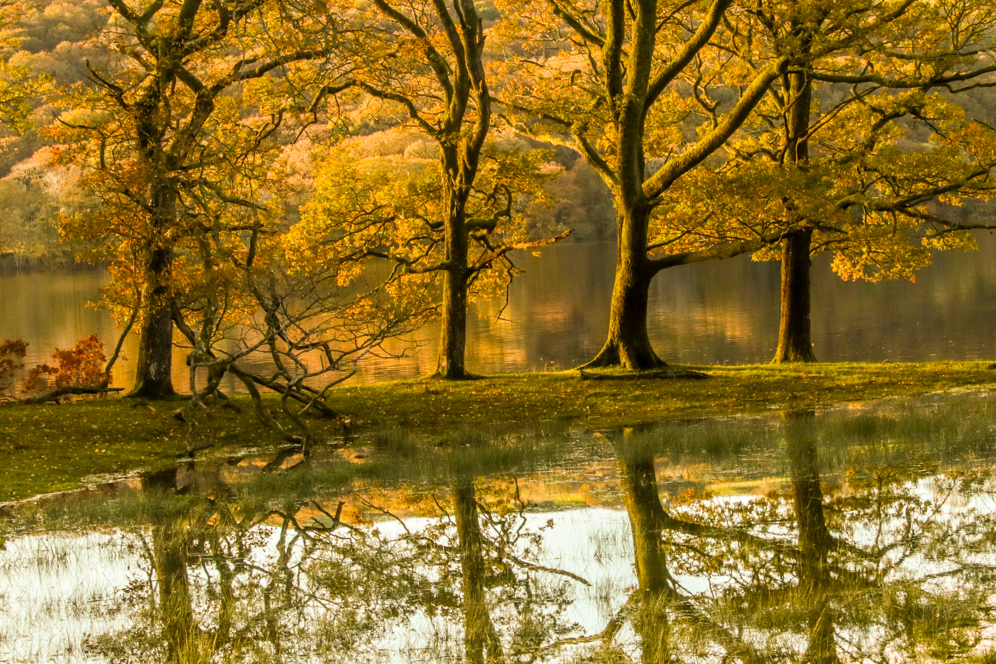 Golden reflections by Coniston Water Jude@green @JUDITHM58257161