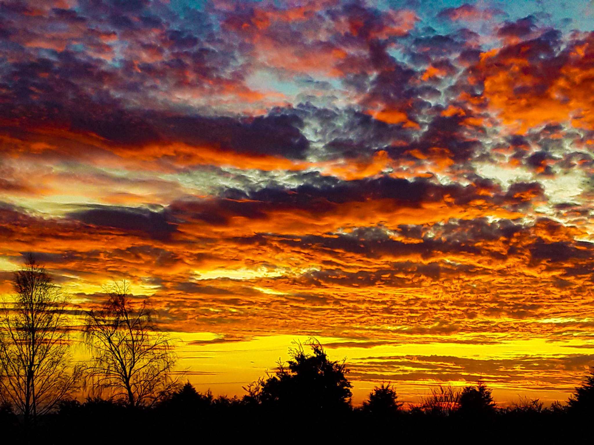 Pretty afterglow in Cambridgeshire by Christine Mitchell @chris_alpacas