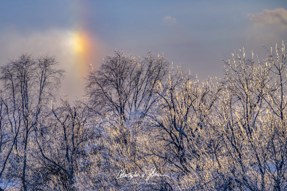 Sundog and Ice Covered Trees Eastern Iowa by Christopher V. Sherman Photography @cvsherman