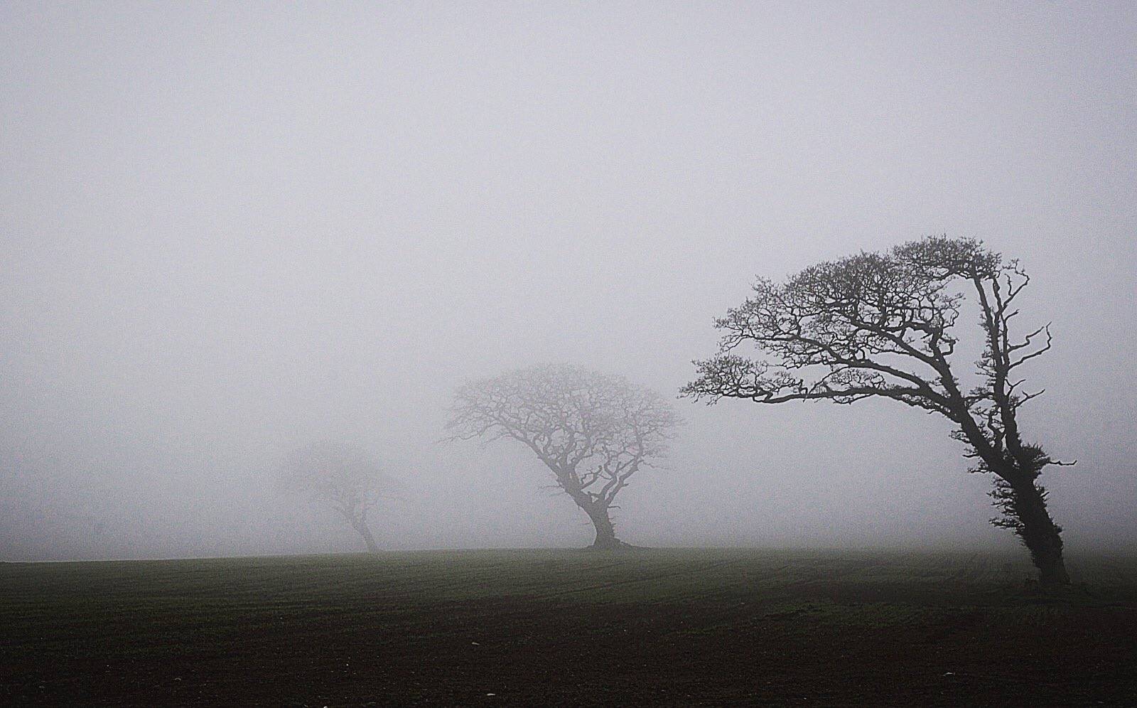 Thick fog envelopes North Wales by Ian Cooper @icphotography