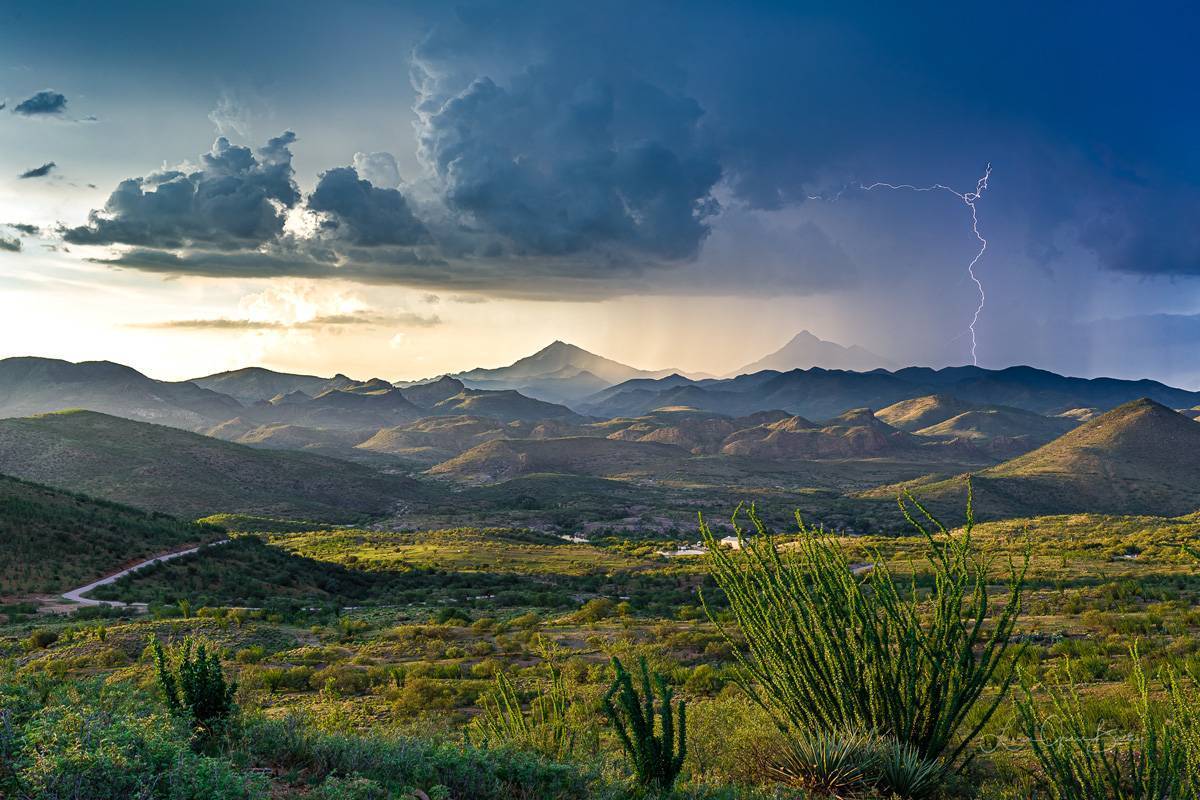 2019-08-01-Nogales-Santa-Ritas-6D-0658---1200px