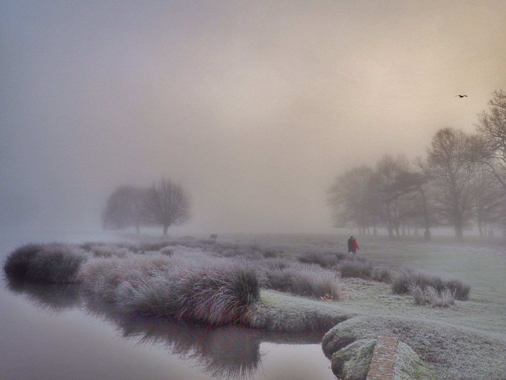 2nd Place A frosty foggy morning at the Leg of Mutton Pond Bushy Park Teddington by Ruth Wadey @ruths_gallery