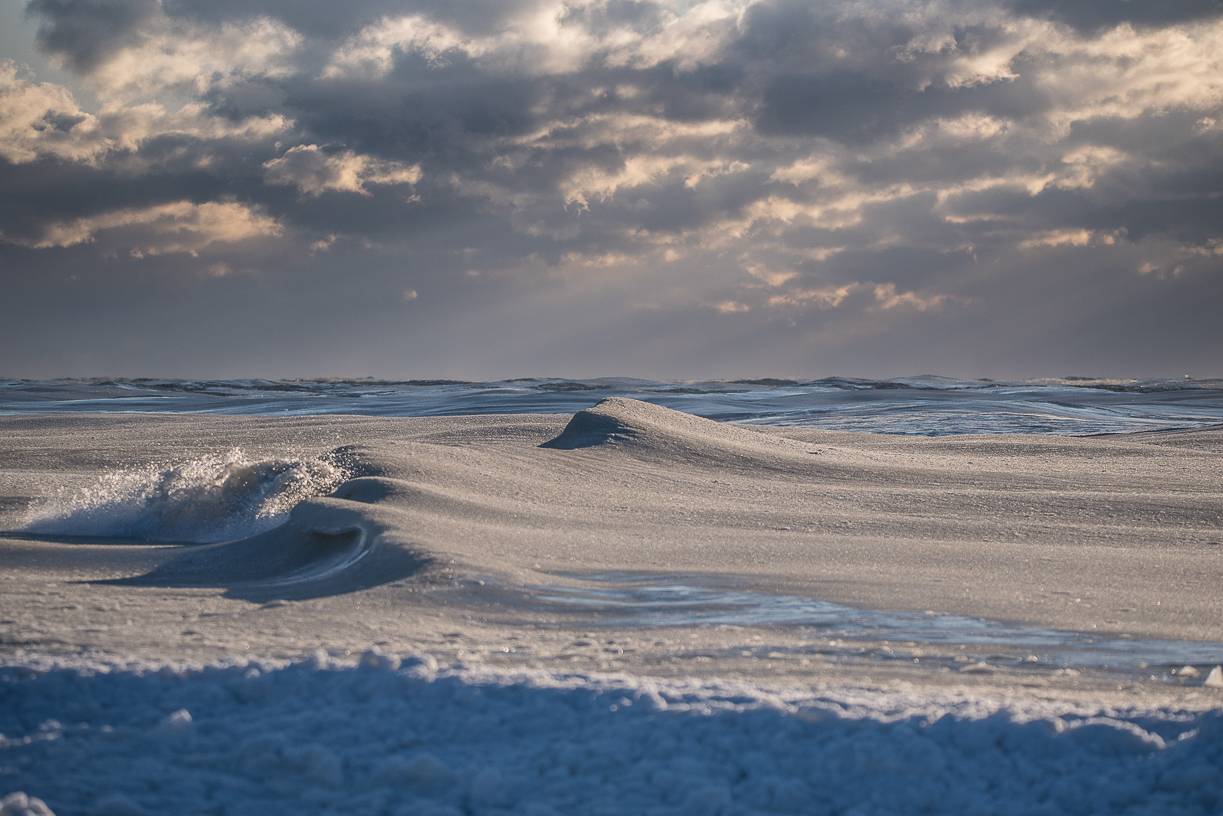 Frozen Surf 