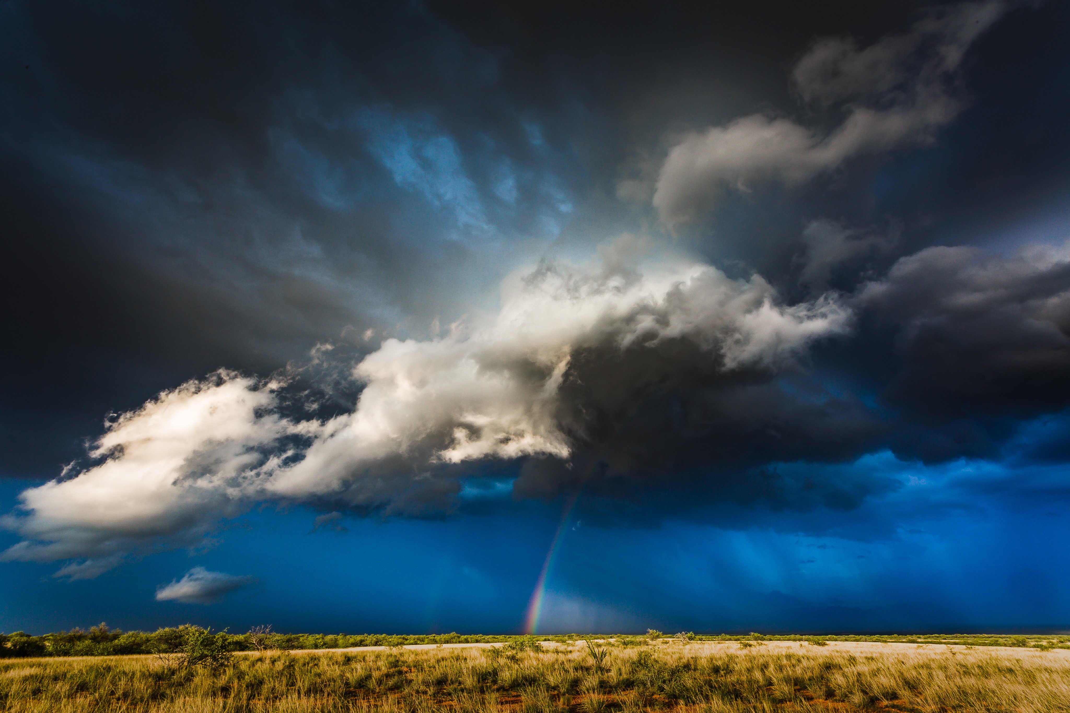 Storm in the Buenos Aires Wildlife Refuge near Baboquivari Peak south of Tucson by Lori Grace Bailey @lorigraceaz
