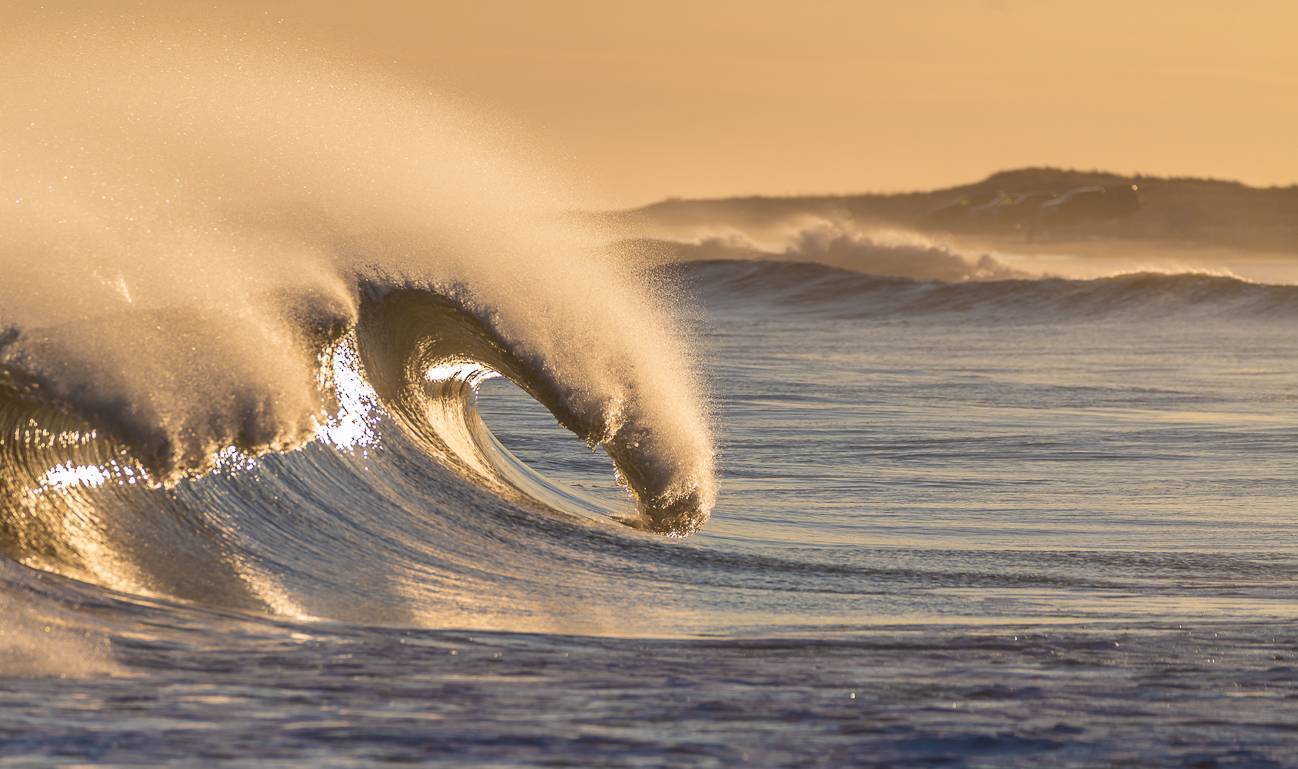 Surf Mike Busch