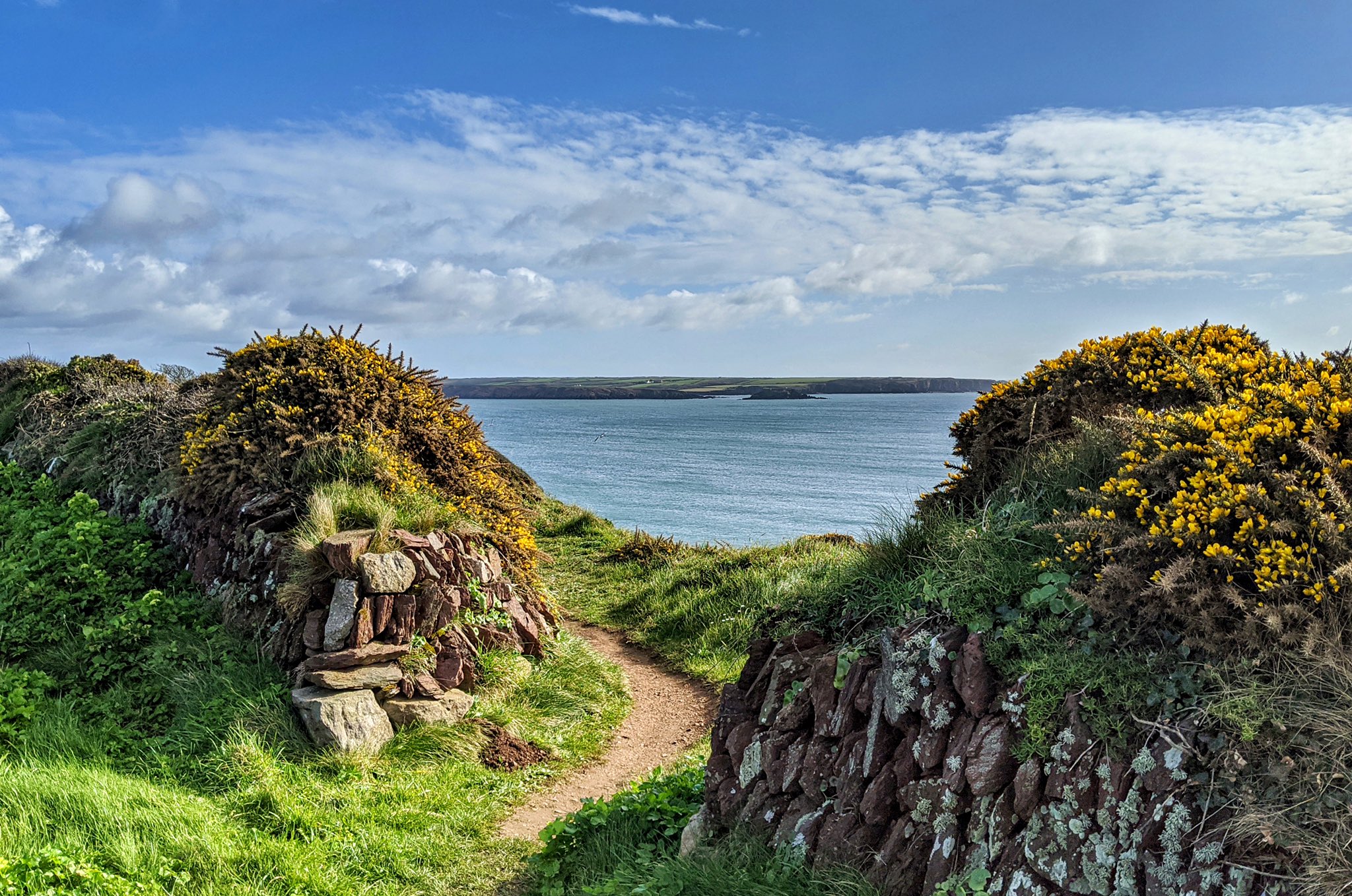 Spring sunshine out on the Welsh Coastal Path Pembrokeshire Coast & Wildlife @W4LES