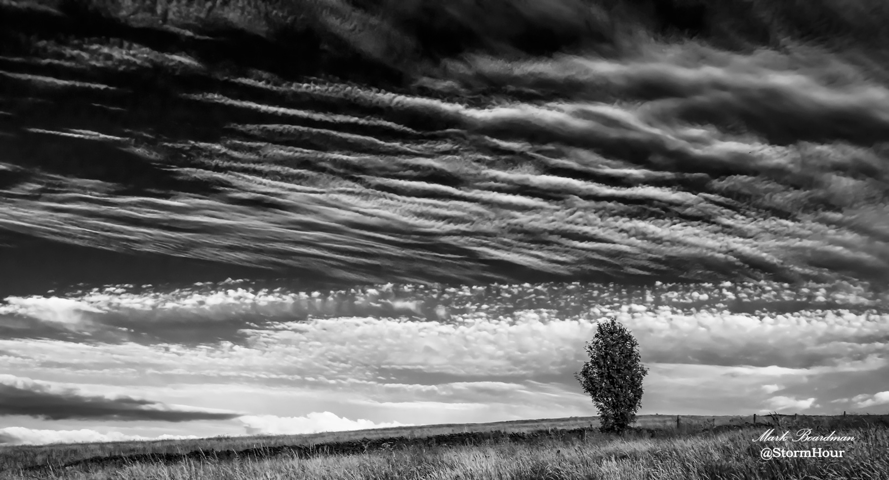 lone-tree-cirrus-landscape-for-article