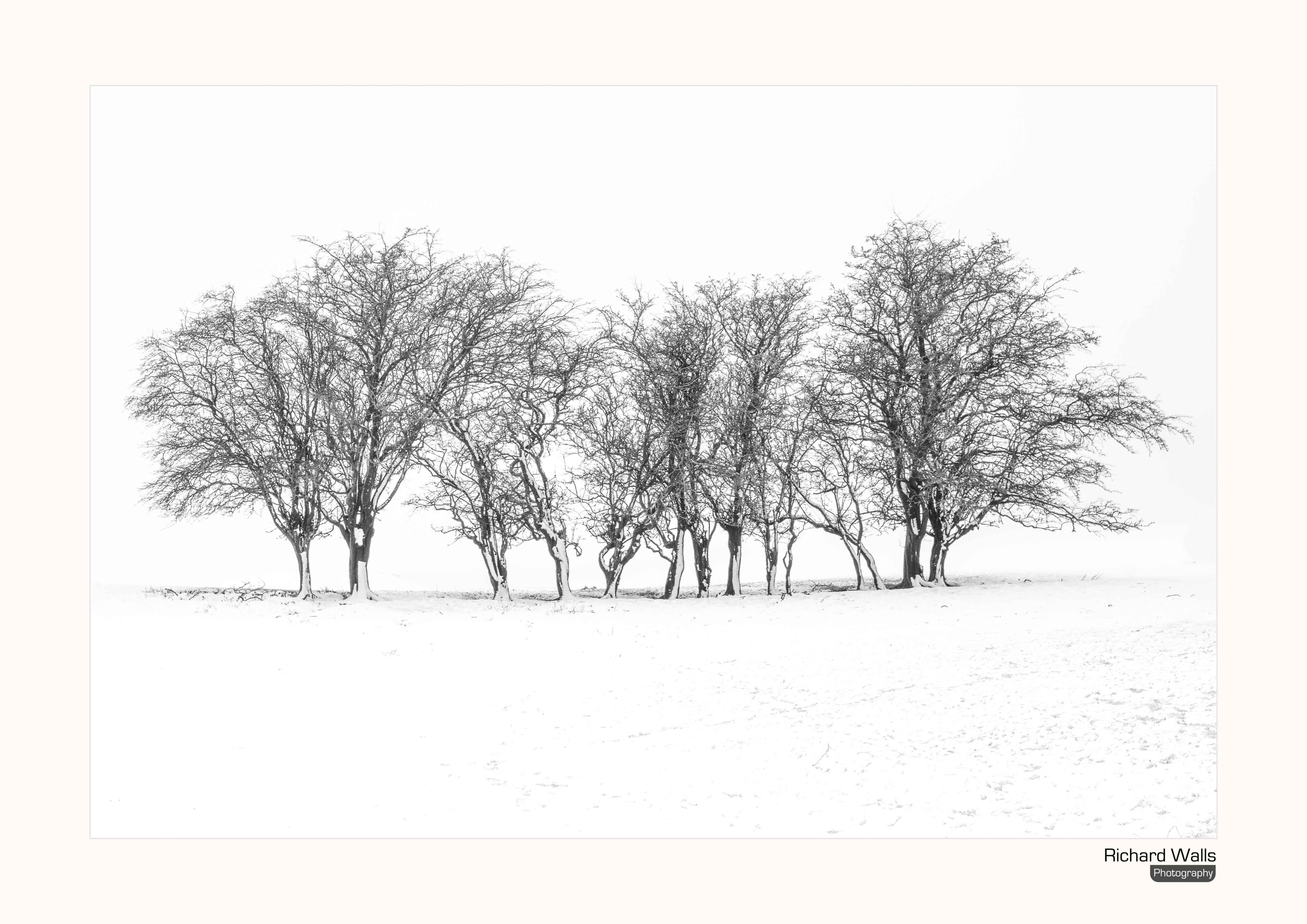 Snow in the Yorkshire Dales by richard @oldschoolmuker