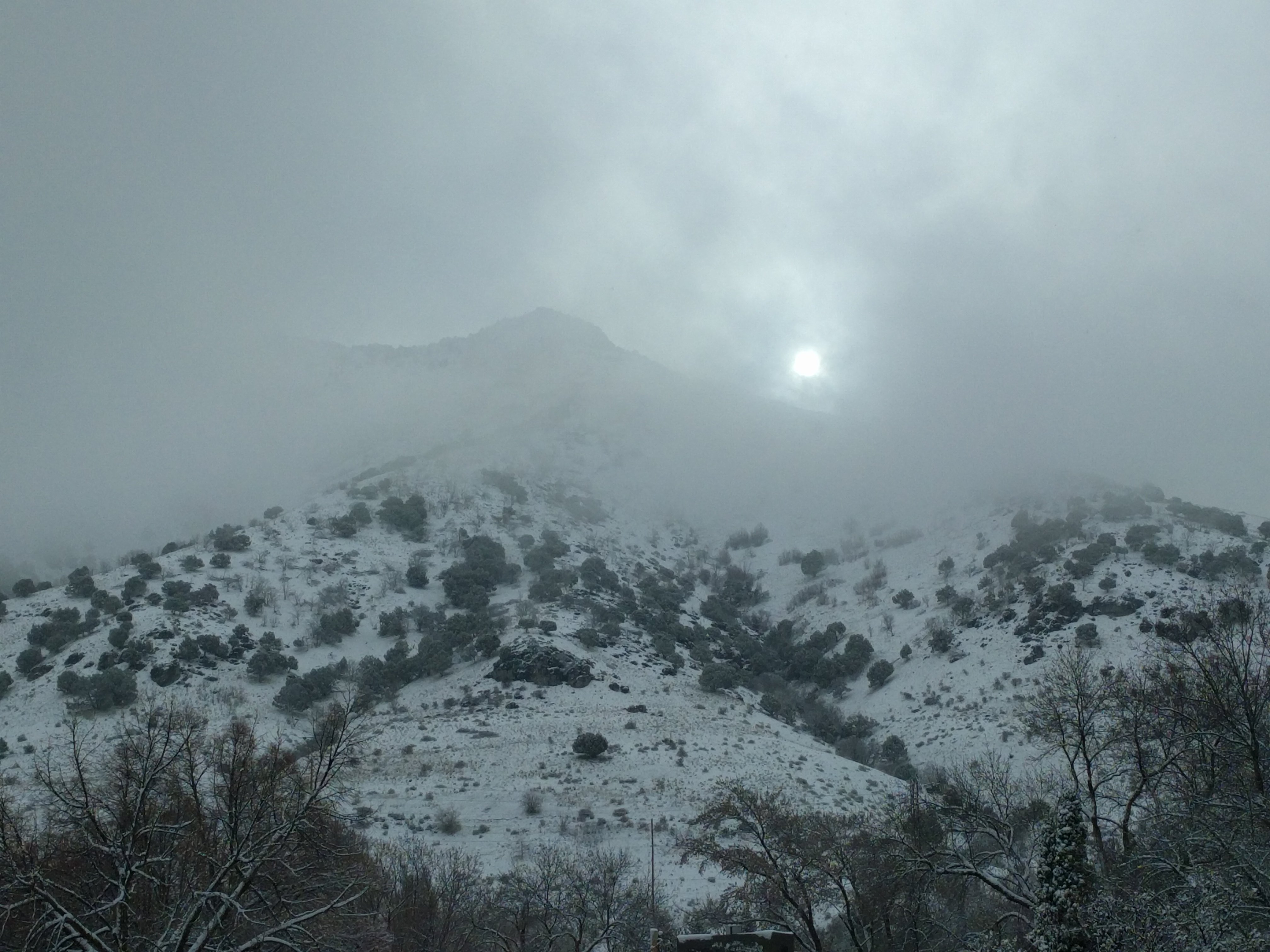 Sun peeking through after fresh April snow in Logan, Utah by Timothy E. Wright @wrighthydromet