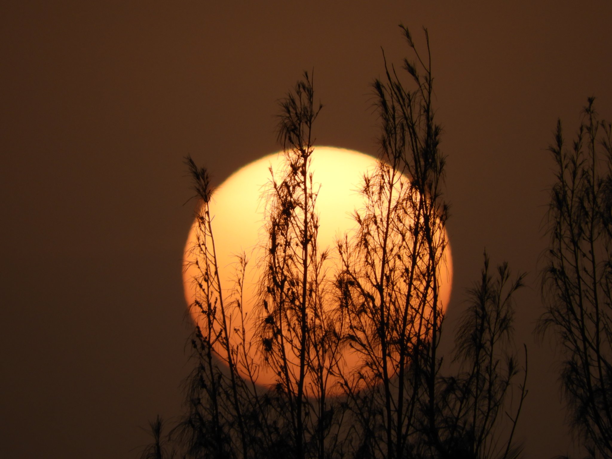 1st Place Lovely Orange Sunset, Arecibo PR by Ann Rivera @annie7362