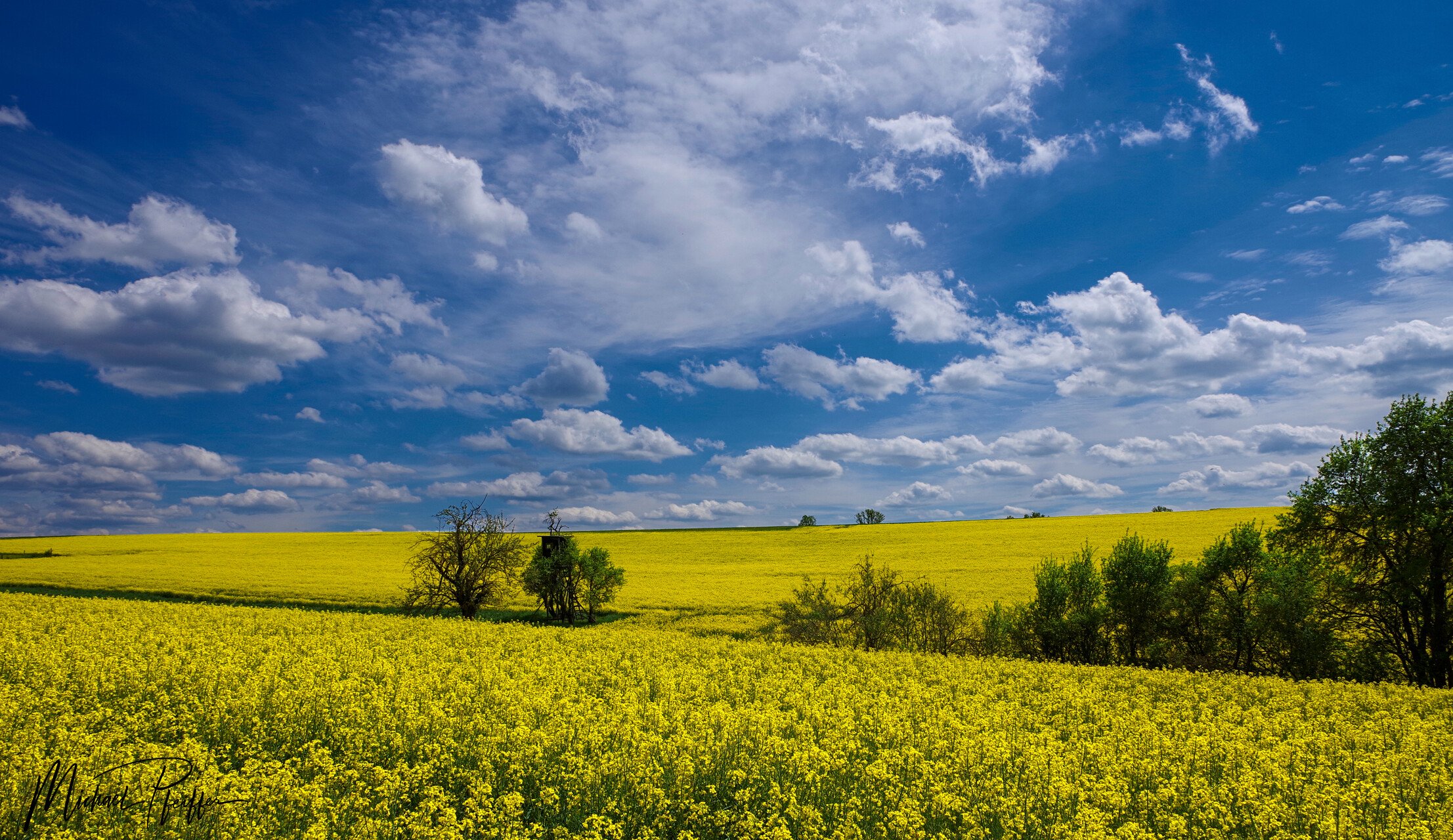 2nd Place Beautiful spring weather near Stuttgart in Germany by Wetter Ludwigsburg @lubuwetter