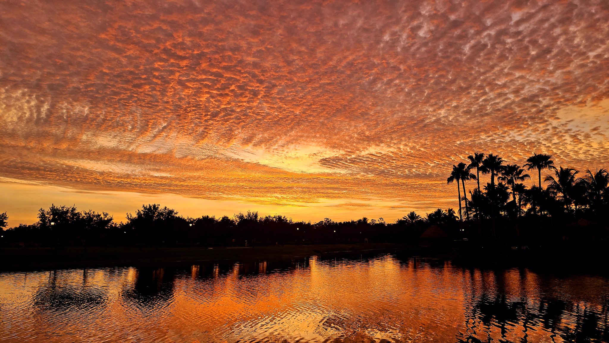1st Place South Florida Fort Myers sunset by Jim Wilkins @onebuck66