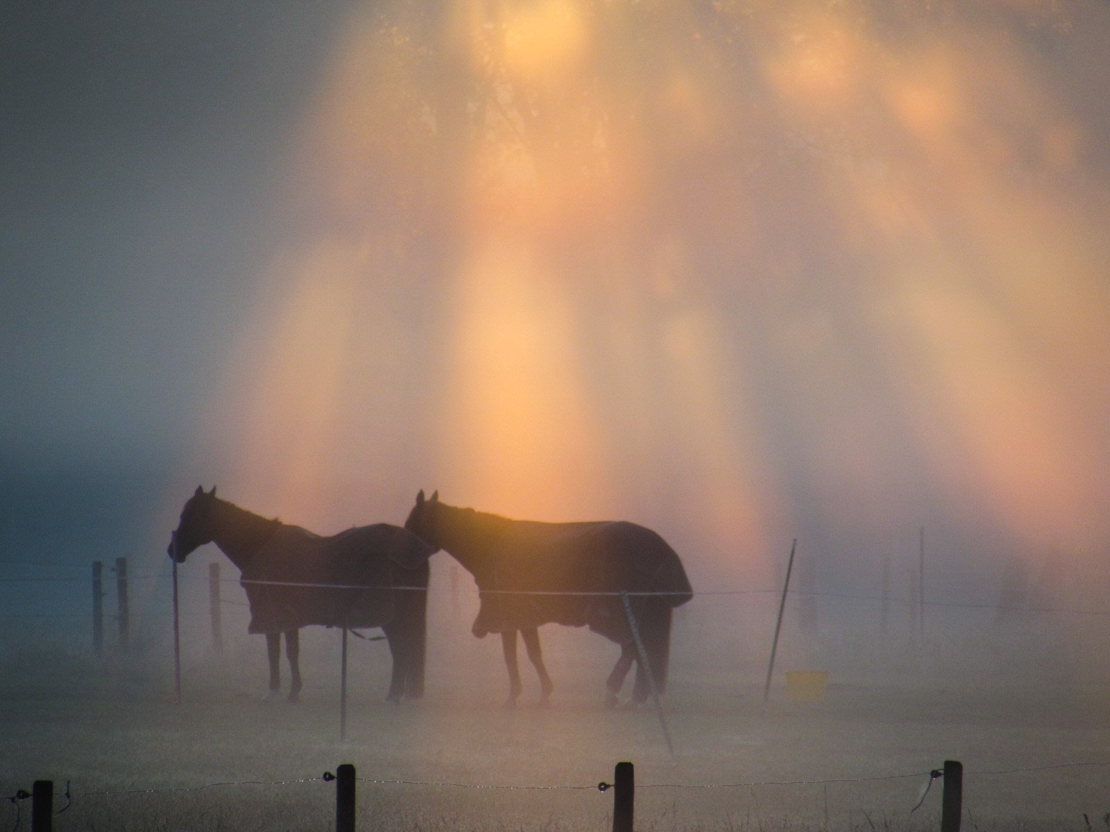 2nd Place Fairytale sunrise Netherlands by Carina Lichtenberg @70_carina