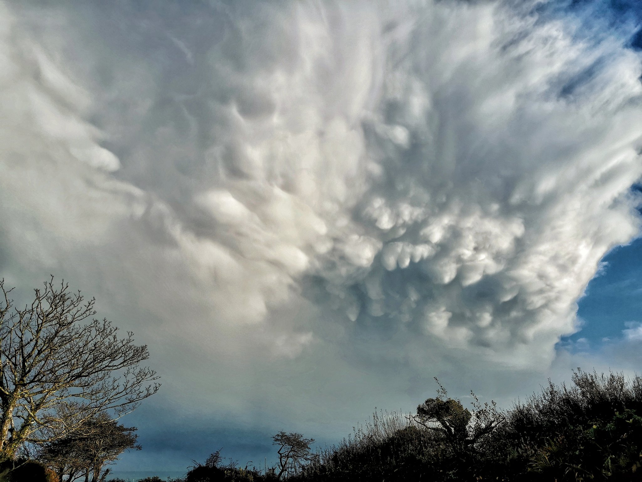 2nd Place Mammatus clouds from a passing downpour in Cornwall by Nick @Wx_NickJ
