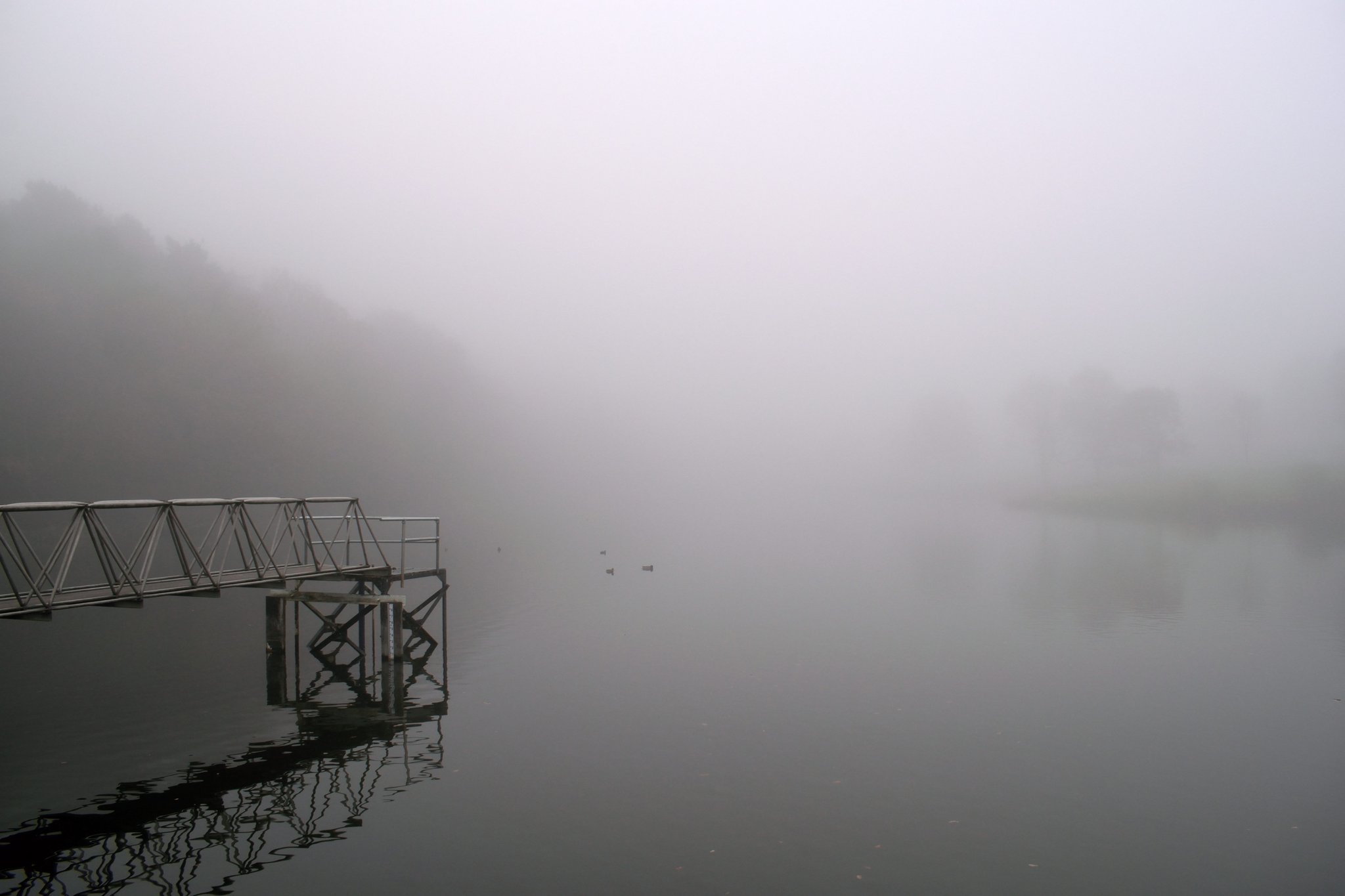 3rd Place Dense fog at the fishing lake Meltham Mills, Huddersfield by Jane Brook @jayceb19