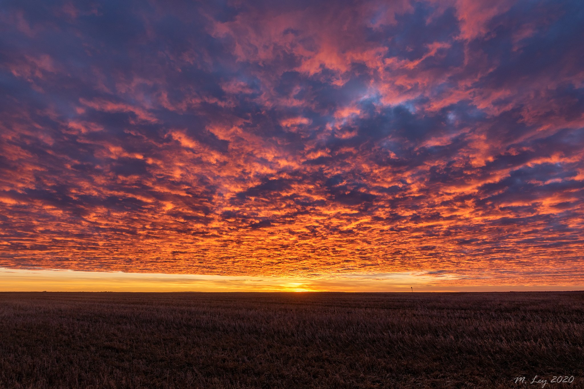 2nd Place "Amber Waves of Grain" Late December South Dakota sunset by Matt @Matt_wyo