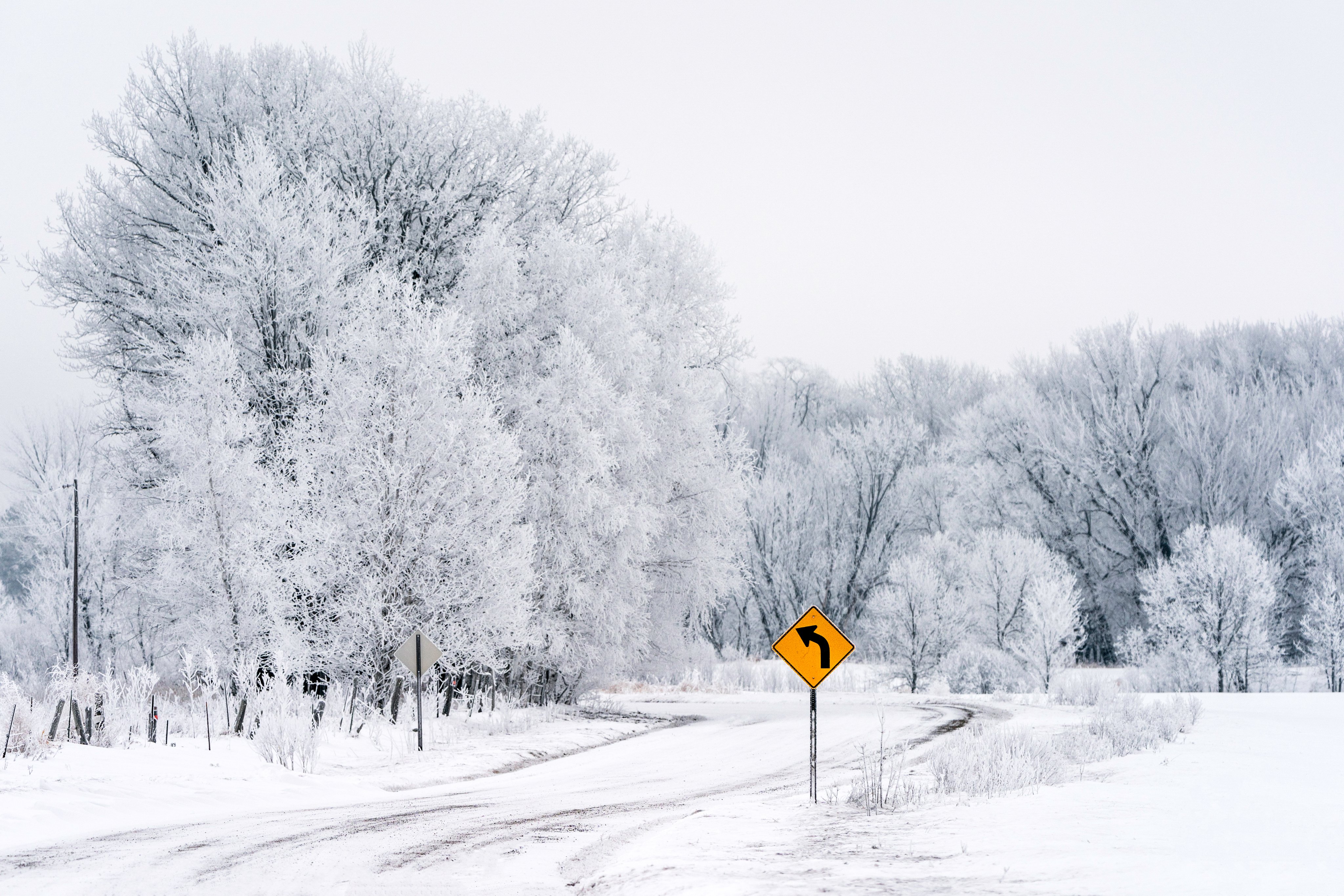 2nd Place Hoarfrost covered trees along the Great River Road in Aitkin County, Minnesota by Lorie Shaull @Lorie_Shaull