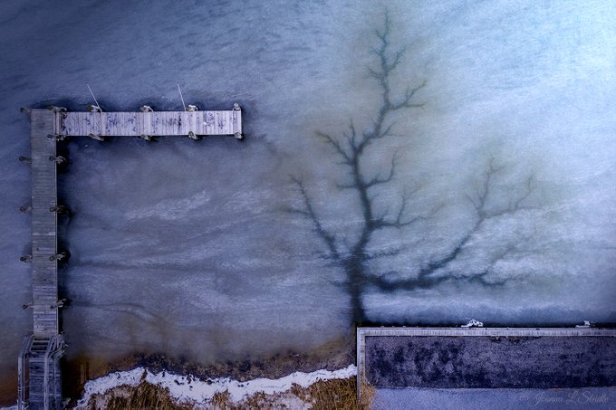 2nd Place Frozen Life. From the Water Mill Beach Club, Water Mill, NY by Joanna L Steidle @HamptonsDrone