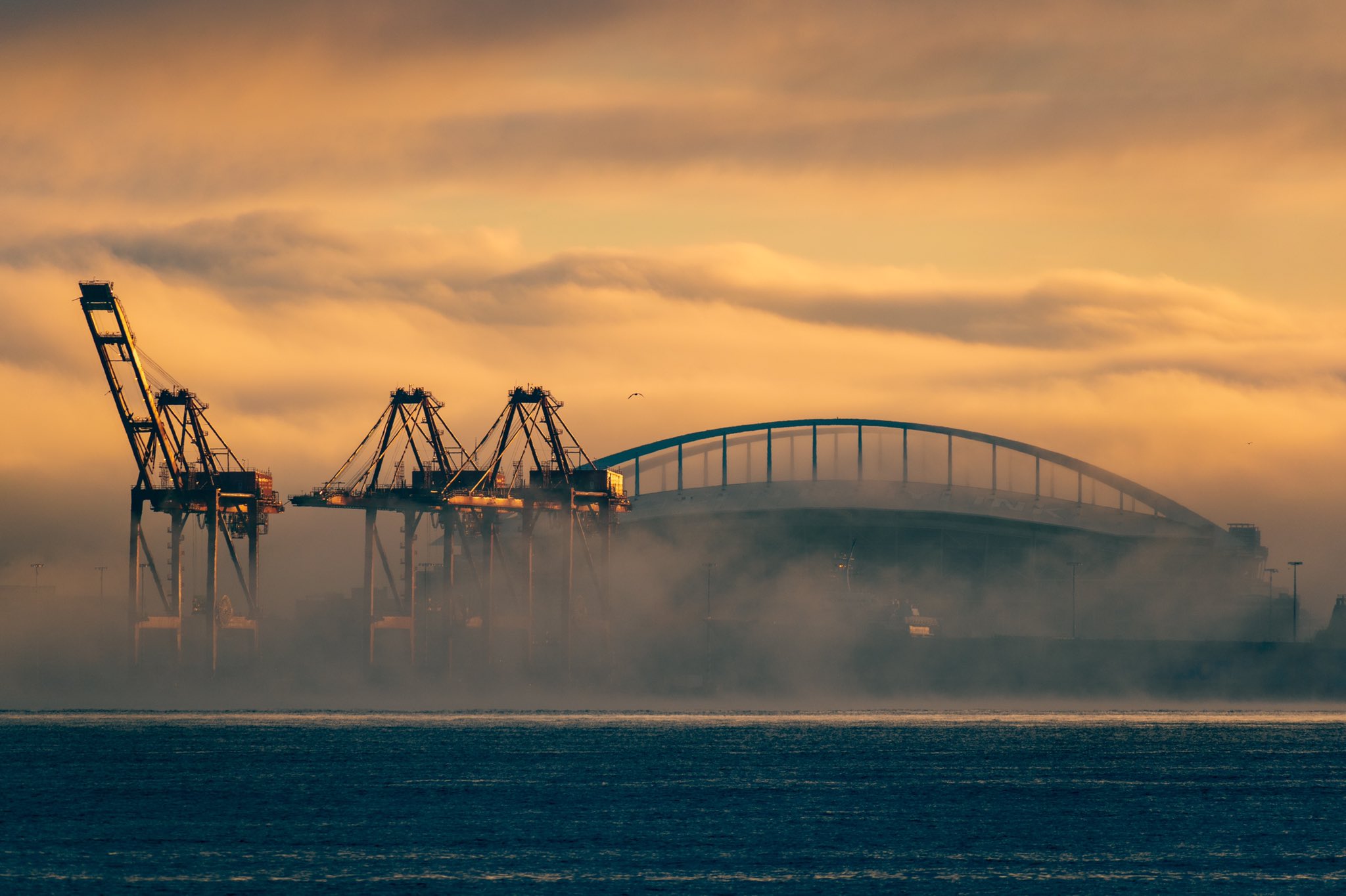 3rd Place Foggy morning on the Puget Sound by anthonyk photos @anthonykdrives