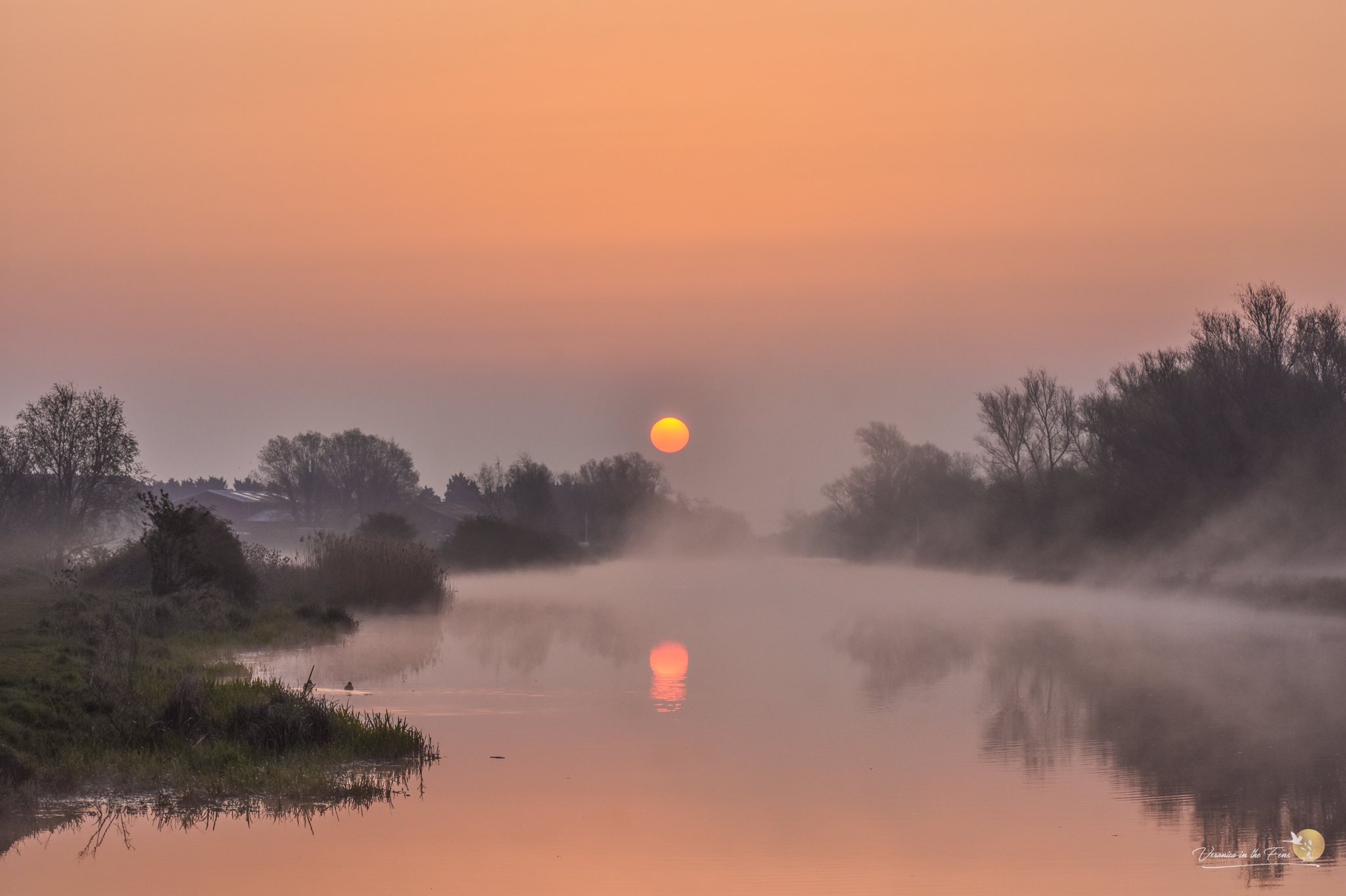 1st Place Sunrise in the Fens, Ely, Cambridgeshire by Veronica in the Fens @VeronicaJoPo