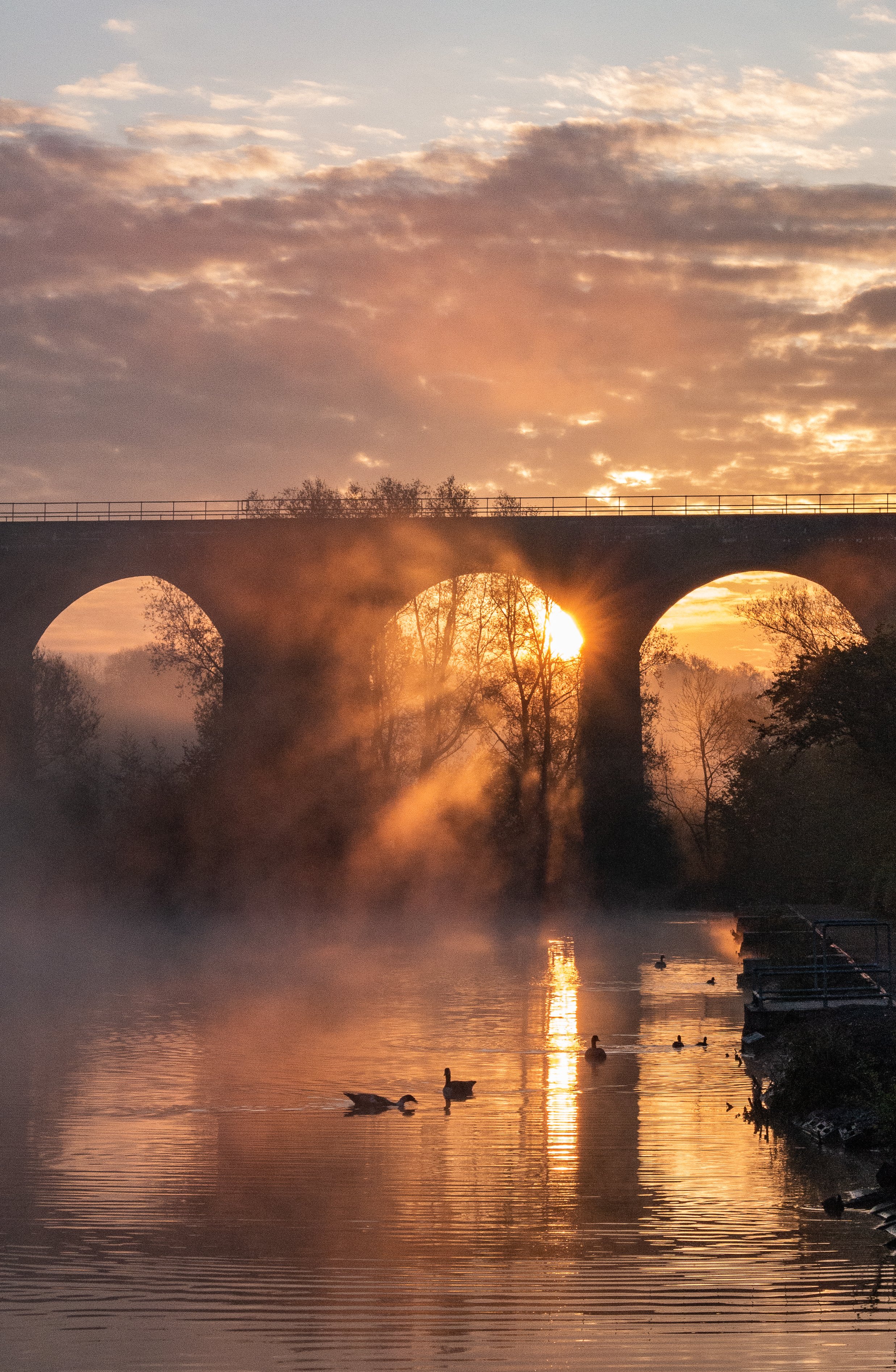 3rd Place A misty dawn chorus in Reddish Vale, Stockport by One-Eyed-Focus @OneEyedFocus